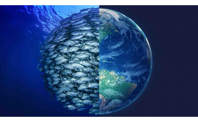 Keď sa postaráme o naše oceány, oceány sa postarajú o nás